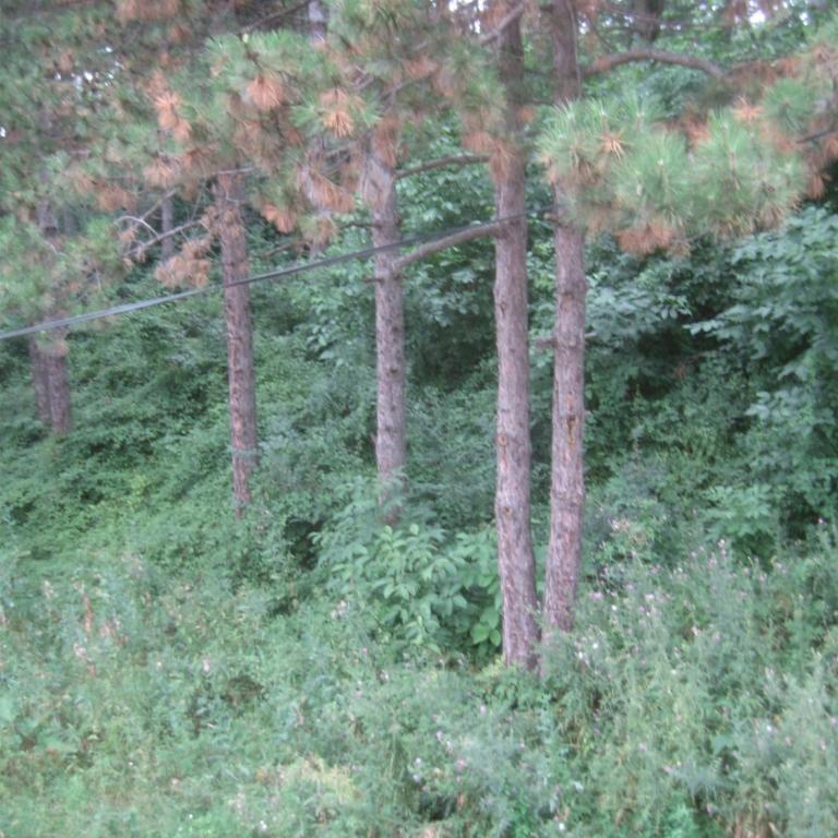 Cosy Cottage on Avala Mountain - Apartman sa Terasom - 7