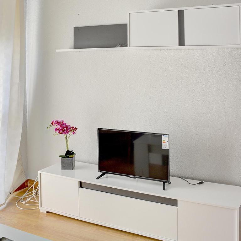 Apartamento Pureza - Apartamento - 5
