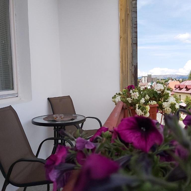 Apartment Zabljak Center - Apartment with Mountain View - 37