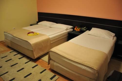 Hotel - Beograd - Deluks Dvokrevetna Soba sa Zasebnim Krevetima - 4