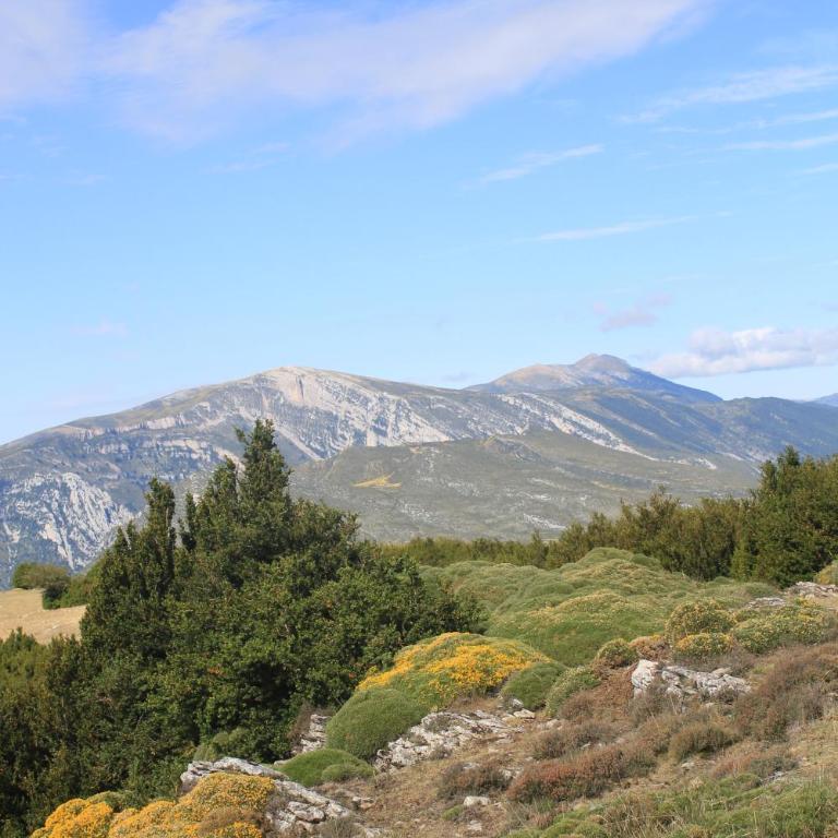 MontePerdido - Appartement - 22