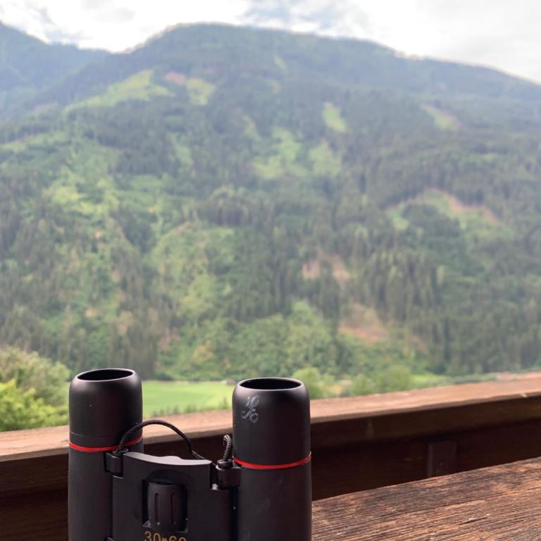 Pension Pichlerhof - Doppelzimmer mit Balkon - 12