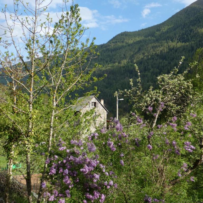 La Cérisole - Appartement - Vue sur Jardin - 29