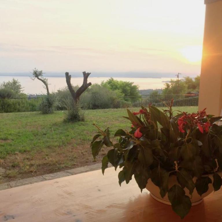 Villa Lilli Bardolino - Appartamento - 8