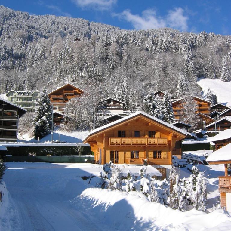 Chalet Courage - Chalet - 1
