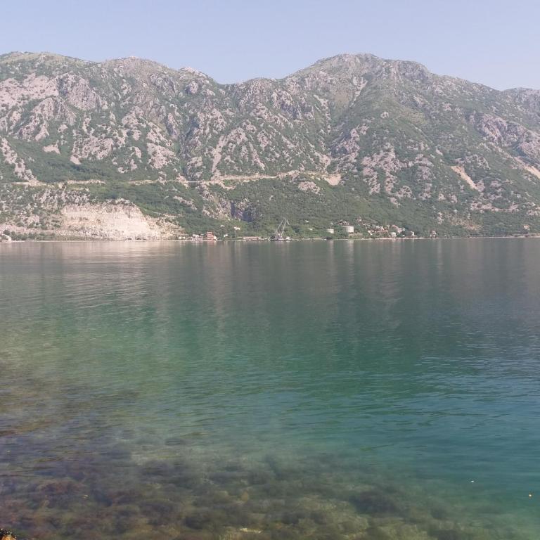Apartments Dabovic - Apartment with Sea View - 2