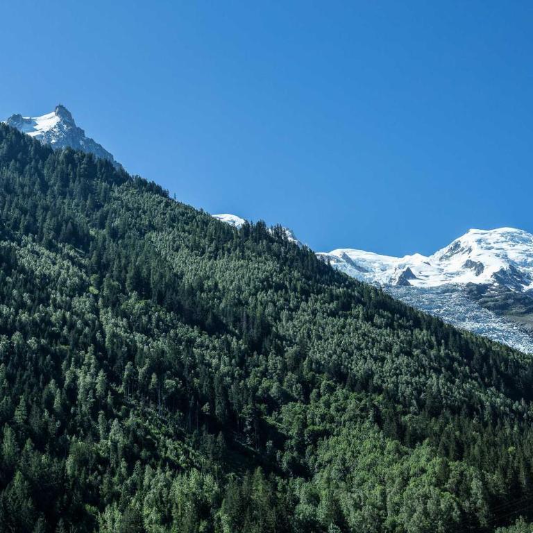Apartment Midi Loft - A Central Chamonix Mountain Haven - Appartement 1 Chambre - 9