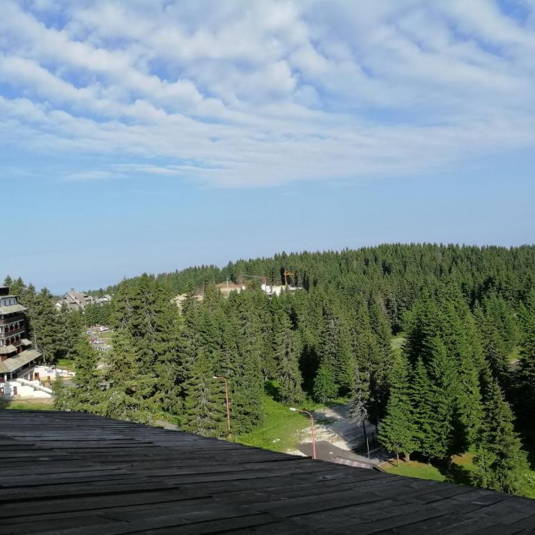 Apartment Lavina Kopaonik - One-Bedroom Apartment - 90