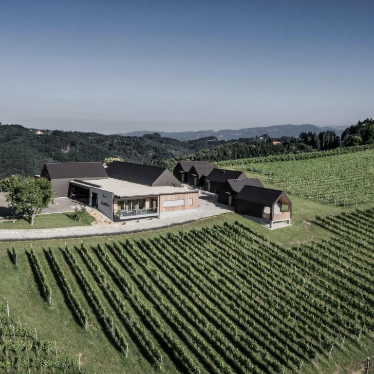 Winzerhäuser Skringer Wohnen im Weingarten - Maison 1 Chambre - 7