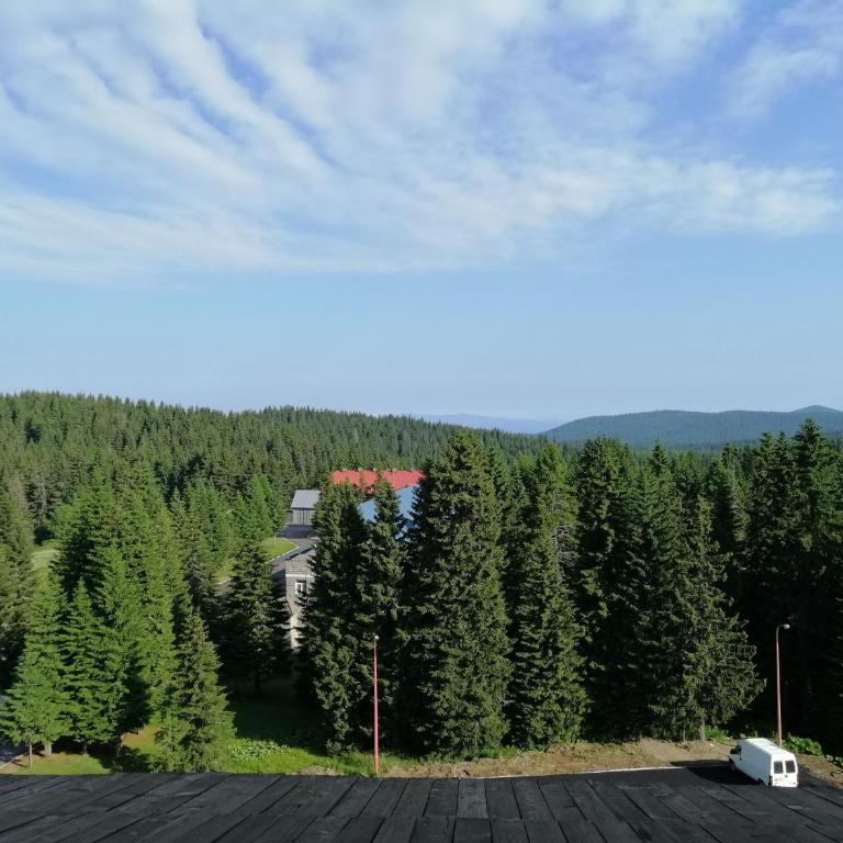 Apartment Lavina Kopaonik - One-Bedroom Apartment - 92