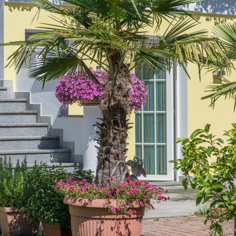 Gartenhof - Apartamento con vistas a las montañas - 33