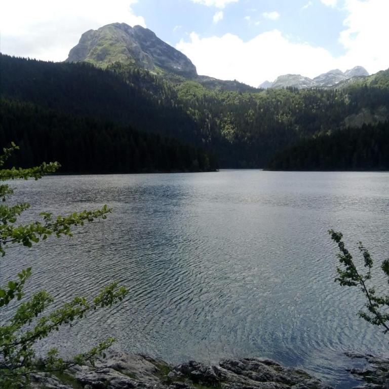 Apartments Durmitor - Two-Bedroom Apartment - 24