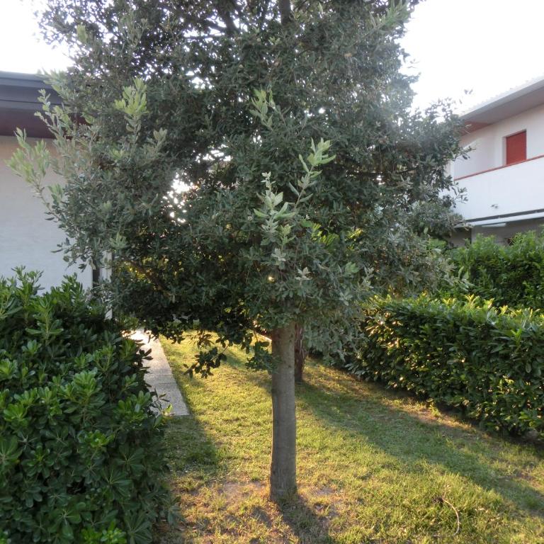 Villa Federica - Two-Bedroom Apartment - 17
