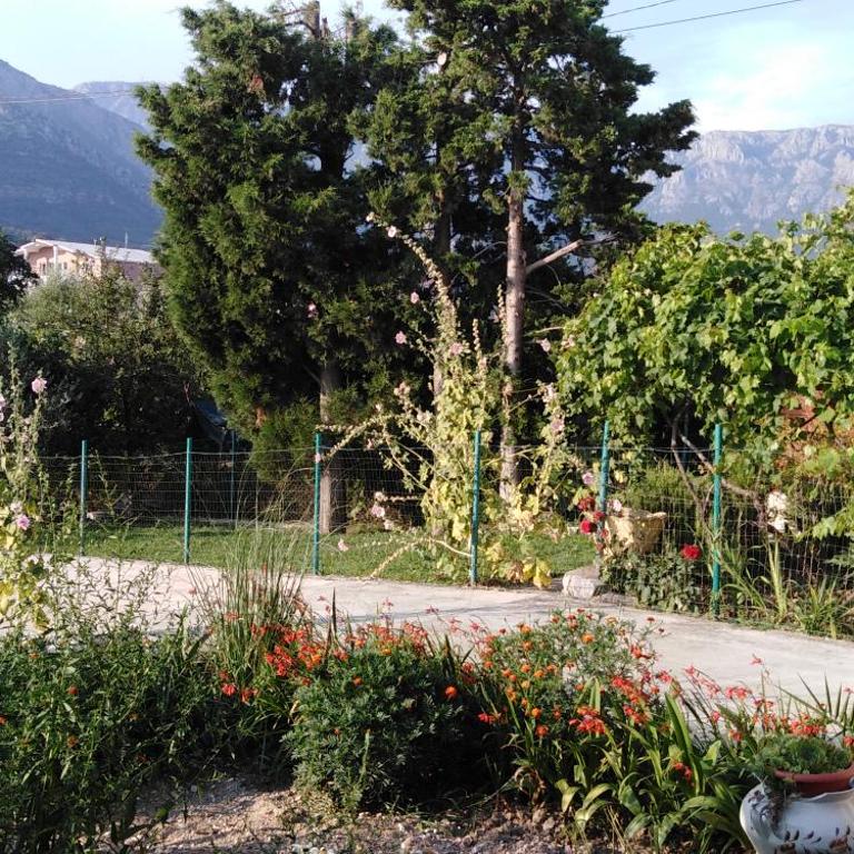 Garden - Two-Bedroom Apartment - 7