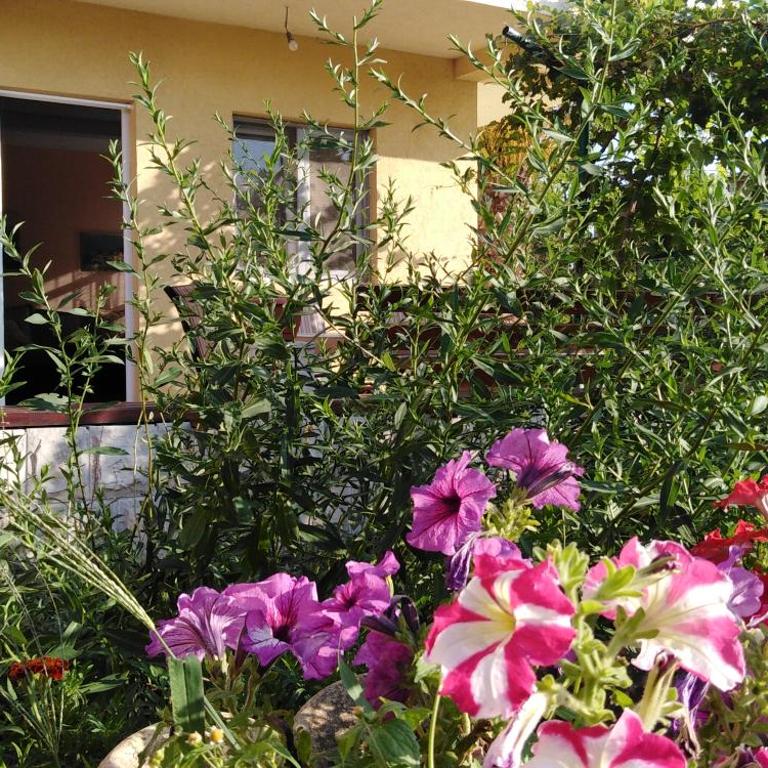 Garden - Two-Bedroom Apartment - 14