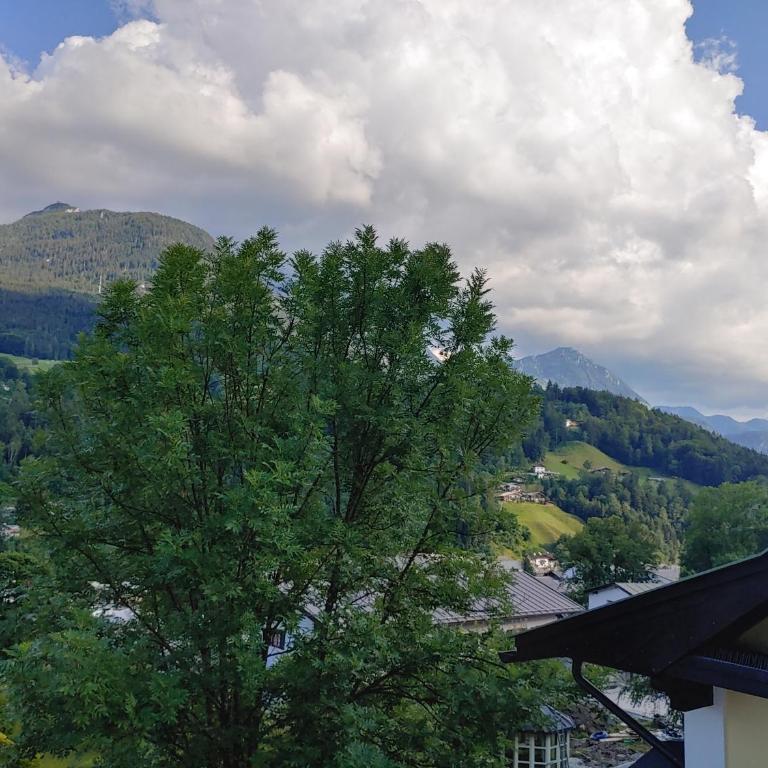 Apartment Raphaelo Nonntal 8 Apartment - Appartamento con 1 Camera da Letto - 26