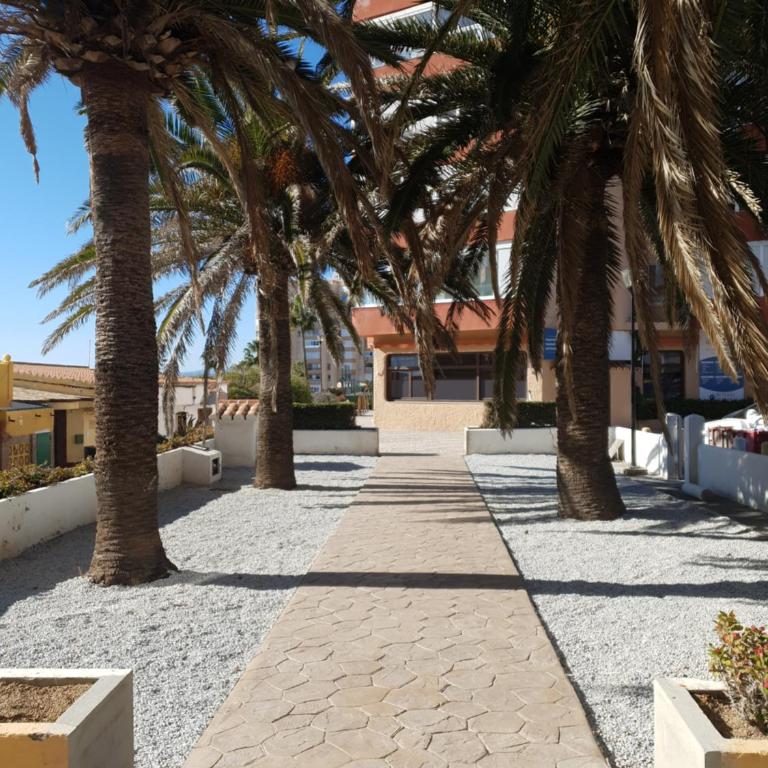 Beachfront Bungalow - Casa con 1 dormitorio - 3