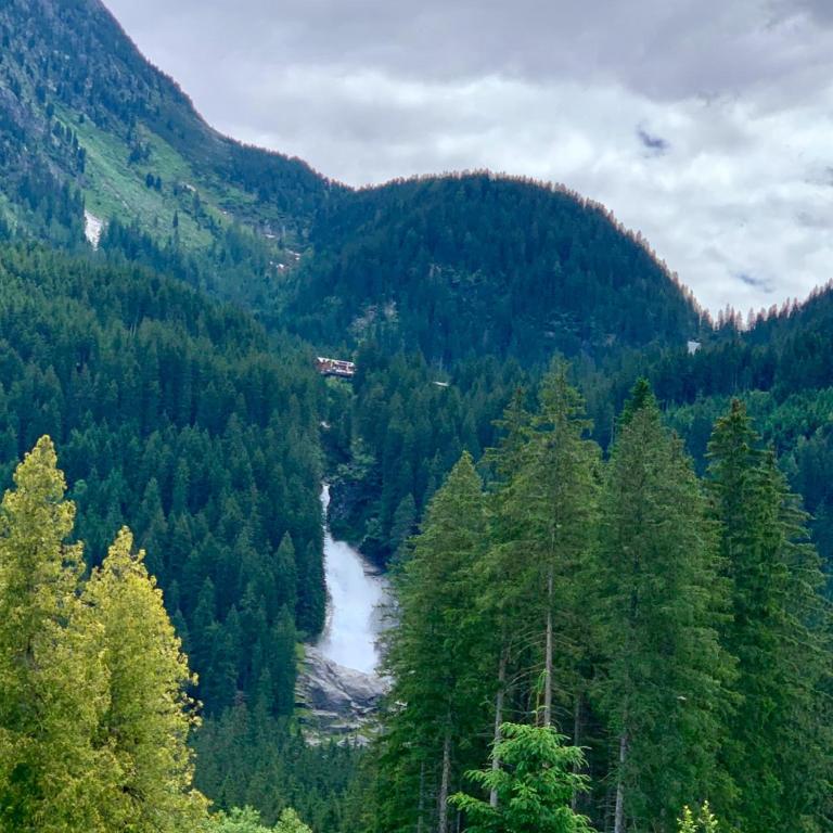 Kitzbuheler Alpen Residenz Top2 with Sauna Hollersbach - Apartment - 20