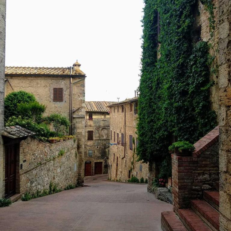 IL PRUNELLO - una casa tra le Torri - Apartment - Ground Floor - 21