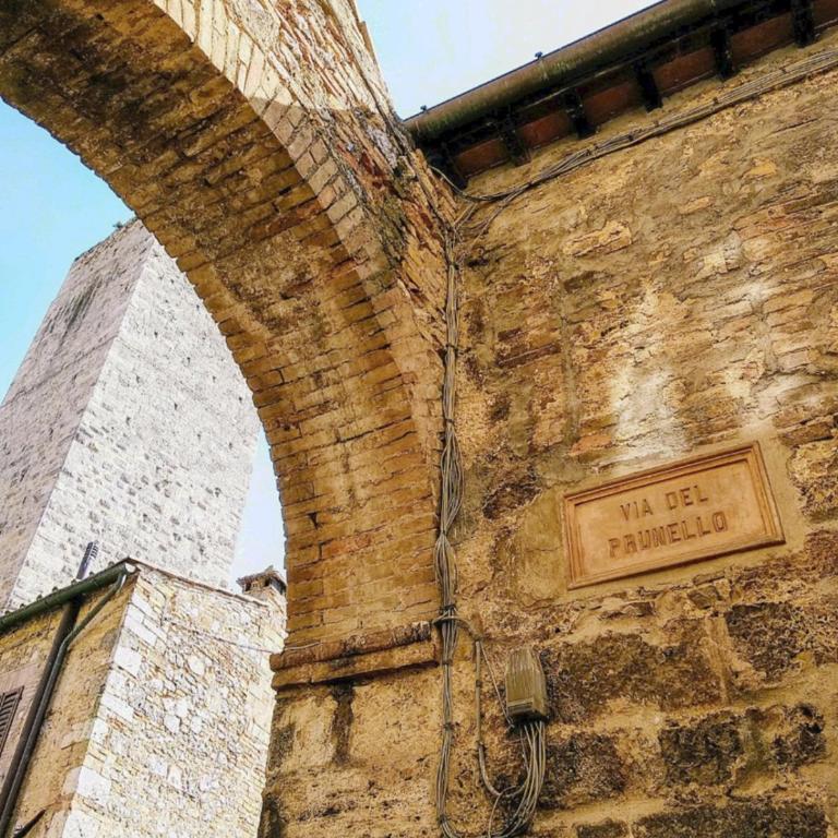 IL PRUNELLO - una casa tra le Torri - Apartment - Ground Floor - 16