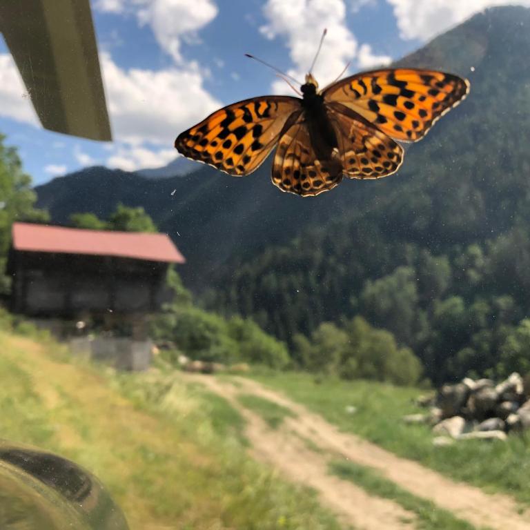 Chalet le Verger - Chalet - 36