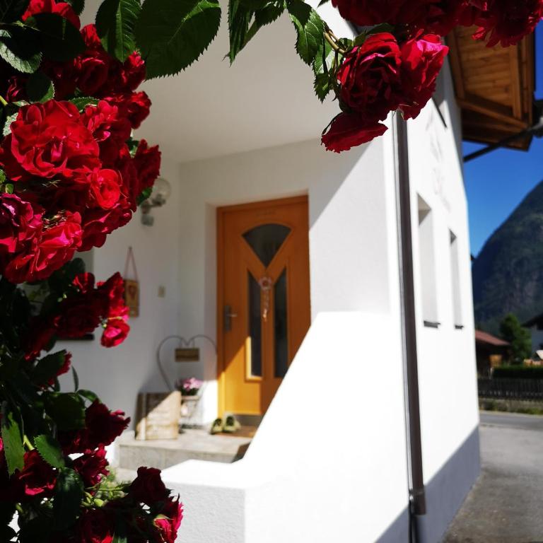 Haus Marieus - Apartment mit Terrasse - 58