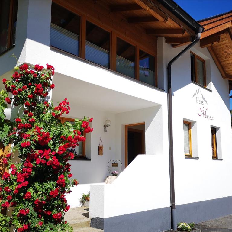 Haus Marieus - Apartment mit Terrasse - 59