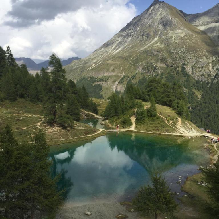 Panoramachalet - Apartment mit Blick auf die Berge - 31