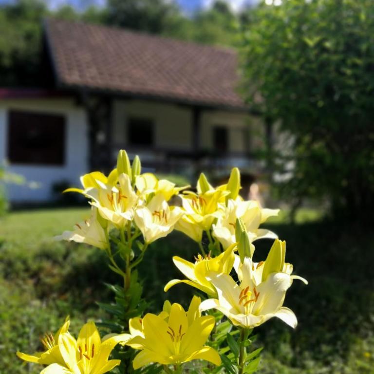 Holiday Home Nektar Park - Vacation Home - 6
