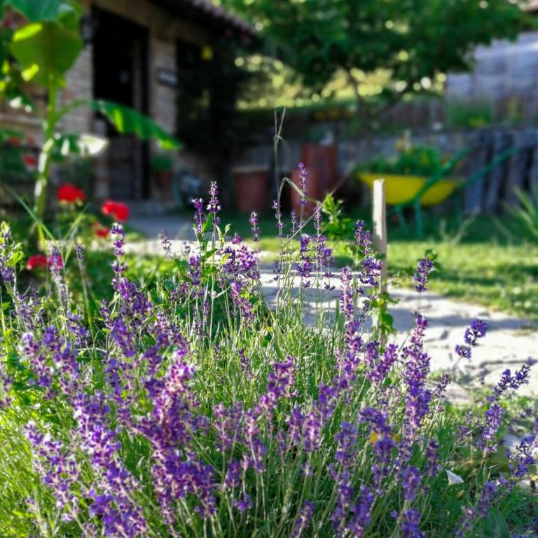 Holiday Home Nektar Park - Vacation Home - 10