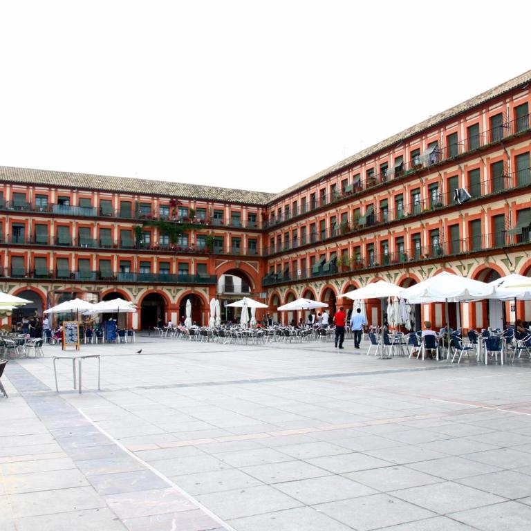 Pedro Lopez Free Parking Cordoba Center - Apartamento - 19