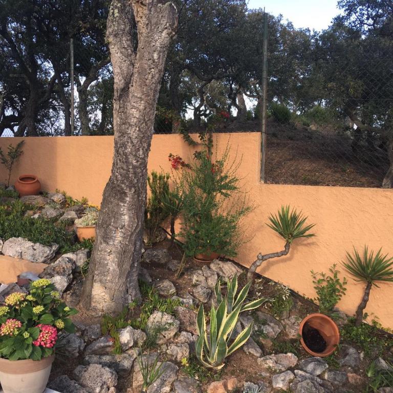 Casa La Gavina Blanca - Casa de 3 dormitorios - 24