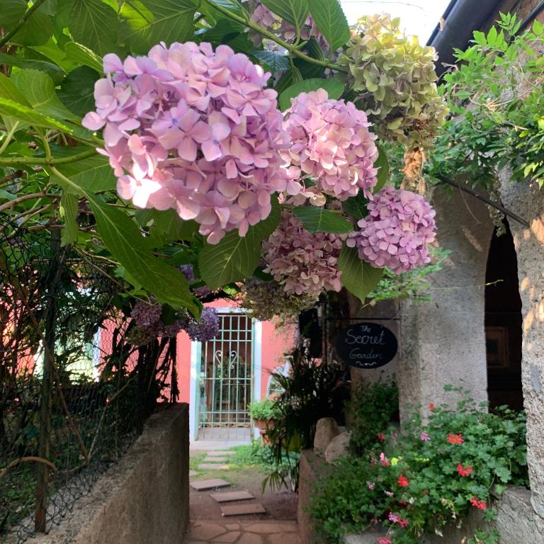 Il Giardino Segreto Arona, Charming Apartments - Appartamento Monolocale - 11