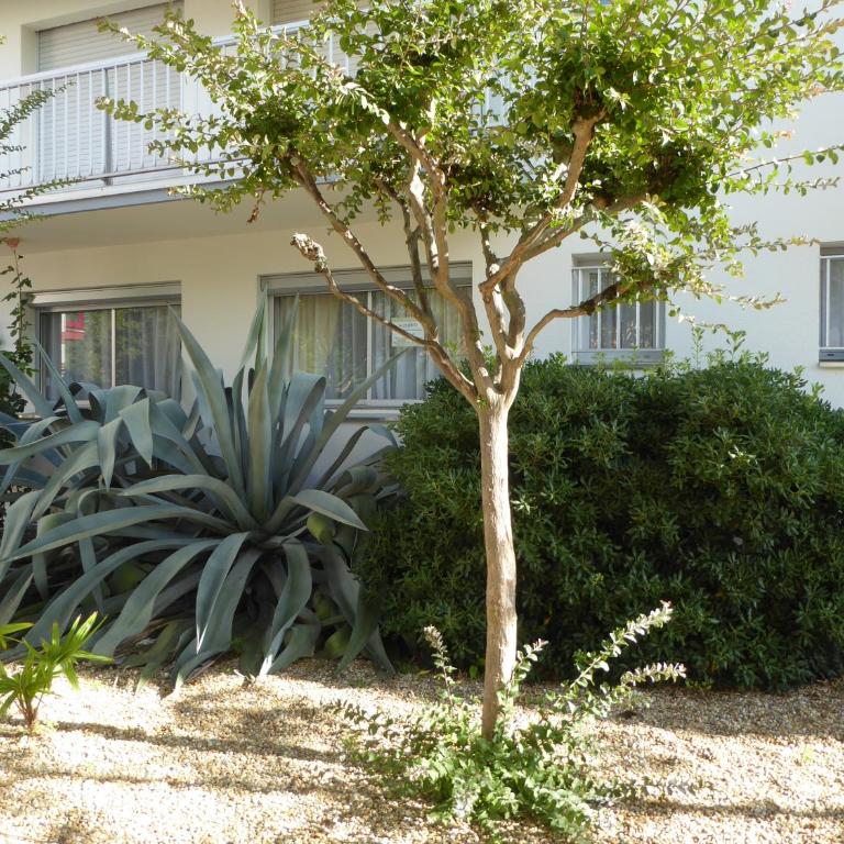 21 rue Thomas Illyriscus - Appartement - Rez-de-Chaussée - 3
