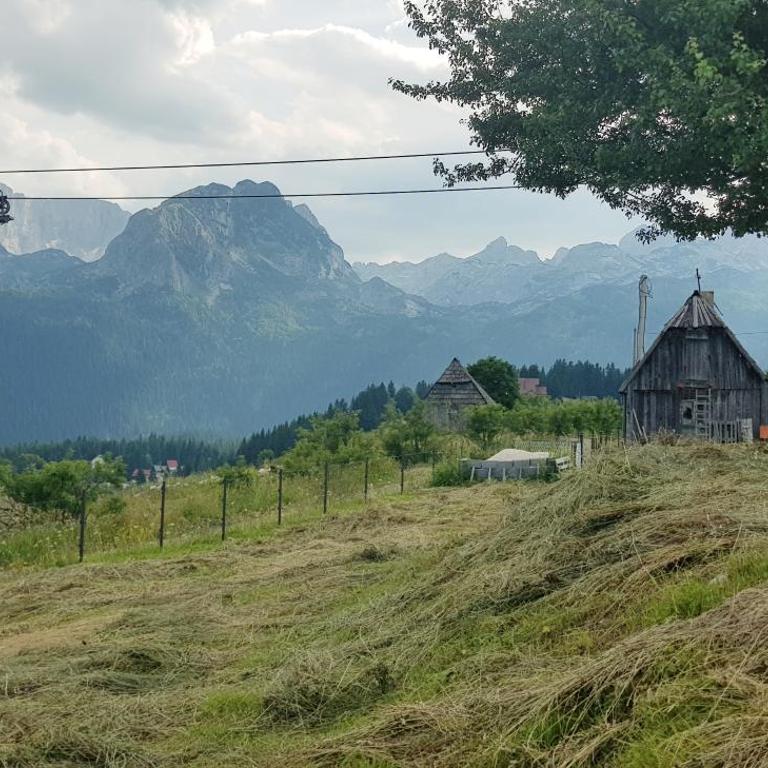 Studio apartment Pitomine - Studio Apartment - 13