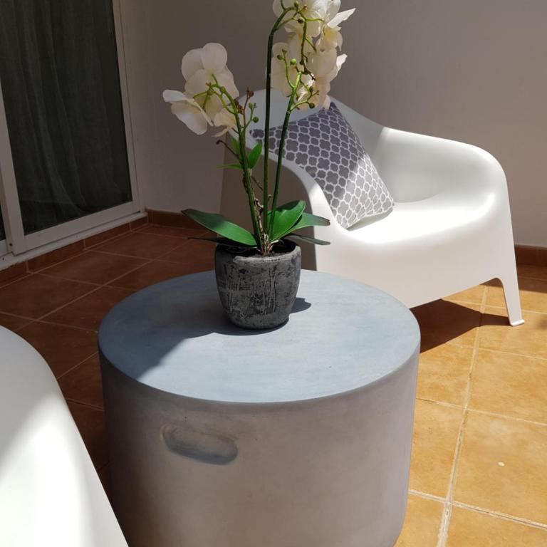 Lugar de la Luz - Apartamento de 1 dormitorio - 25