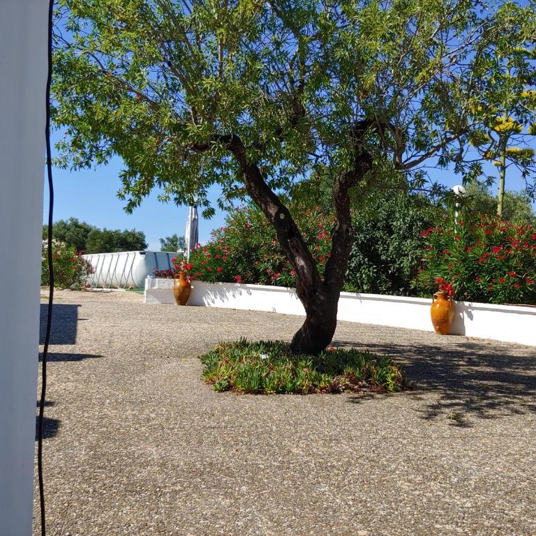Trullo gioioso - Vacation Home - 16