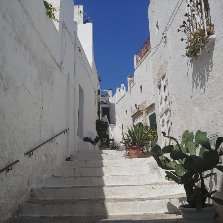 Trullo gioioso - Vacation Home - 46