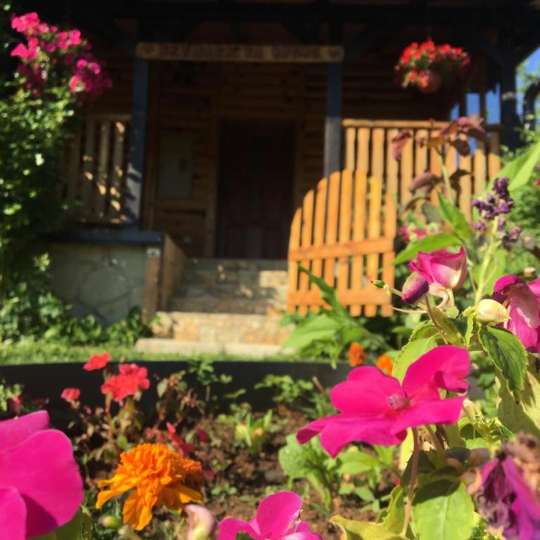 Brvnara za odmor Tara - Kuća sa 2 Spavaće Sobe - 17