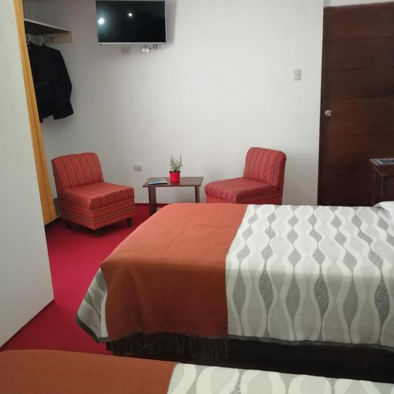 Pandora hotel colca - Habitación Individual con baño privado - 1