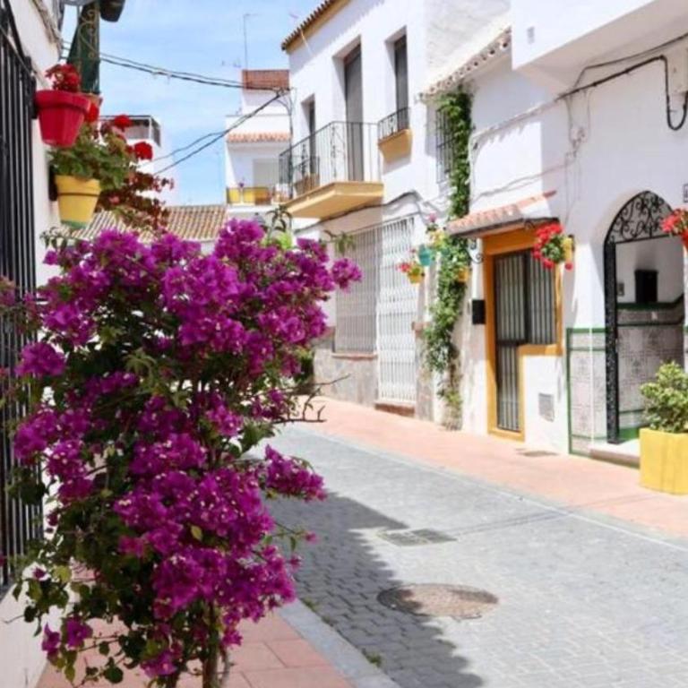 Estepona port - Apartamento con balcón - 4