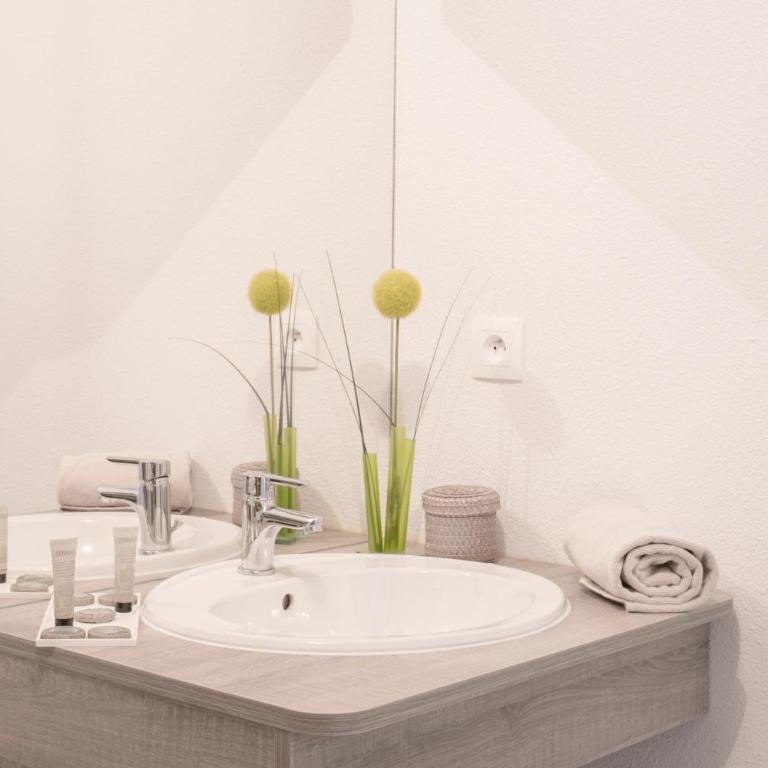 Zenao Appart'hôtels Mulhouse - Appartement 1 Chambre avec 1 Lit Double - 1