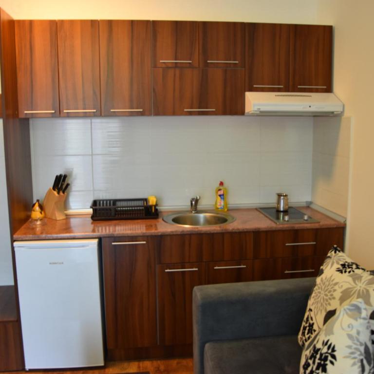 Vila Natasa - One-Bedroom Apartment - 10