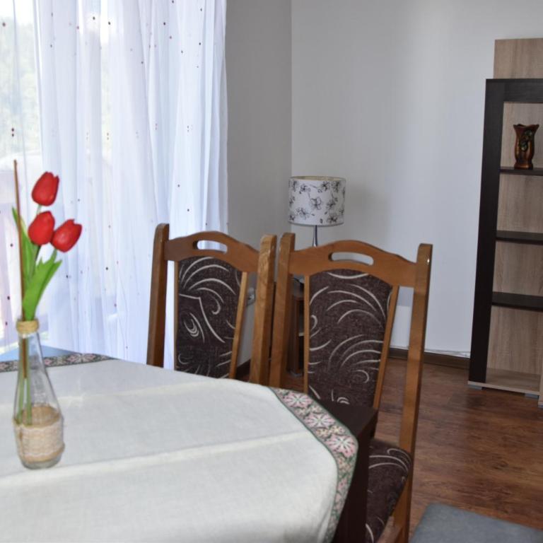 Vila Natasa - One-Bedroom Apartment - 2