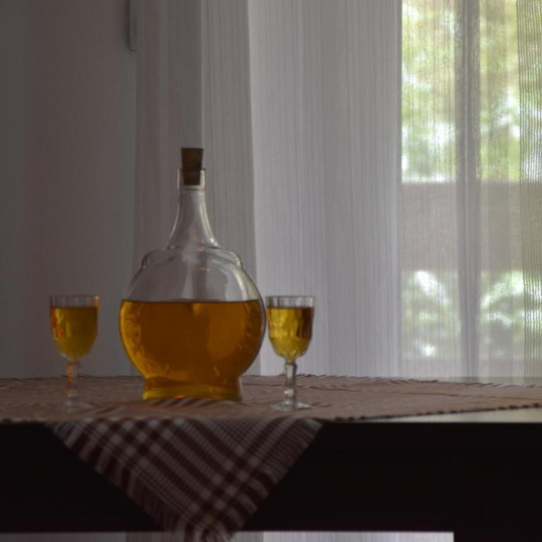 Vila Natasa - One-Bedroom Apartment - 1