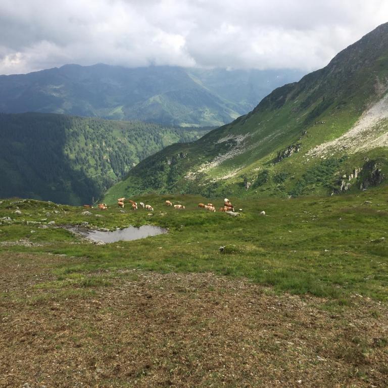 Appartement Mühlhäusl - Appartamento con Vista Montagna - 14