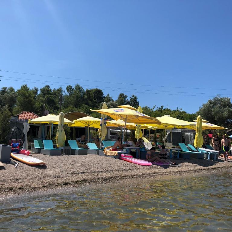 Vila Jovanka - Apartman sa 2 Spavaće Sobe - 23