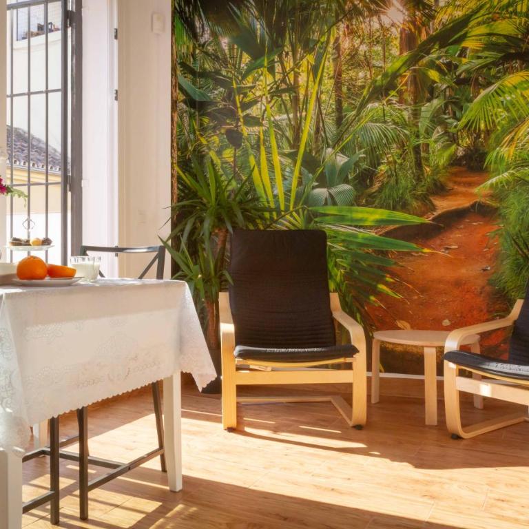 Fresh, relax & sun Historic Center - One-Bedroom Apartment - 2