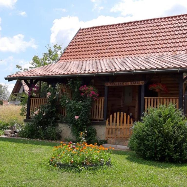 Brvnara za odmor Tara - Kuća sa 2 Spavaće Sobe - 10