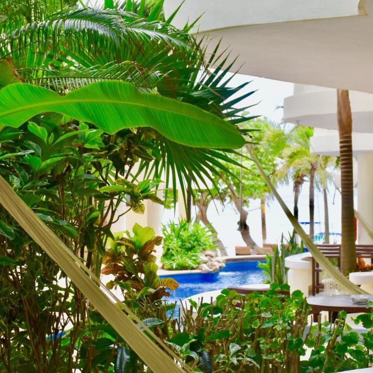Playa Palms Beach Hotel - Studio with Garden View - 11